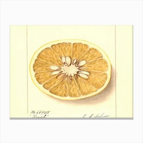 Orange Slice 1 Canvas Print