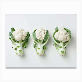 Three Cauliflowers On White Background Canvas Print