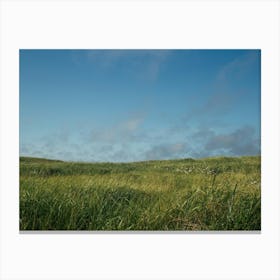 Grassy Field Canvas Print