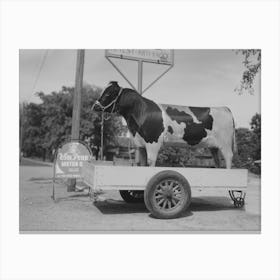 Stuffed Bull In Front Of Gas Station, Minnesota By Russell Lee Canvas Print