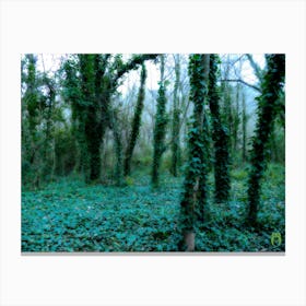 Ivy Covered Forest 202301081005rt1pub Canvas Print
