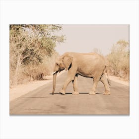 Elephant On The Road In Kruger National Park Canvas Print