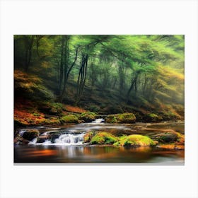 Stream In The Forest 10 Canvas Print