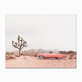In The Desert Canvas Print