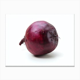 Beetroot isolated on white background. 1 Canvas Print