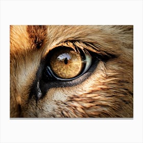 African Lion Eyes Realism Painting1 Canvas Print