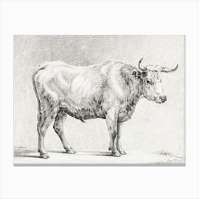 Standing Bull 4, Jean Bernard Canvas Print