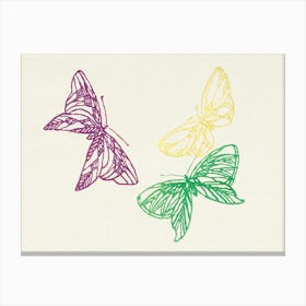Japanese Butterfly, Cho Senshu (10) Canvas Print