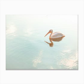 Pelican In Mirror Water Canvas Print