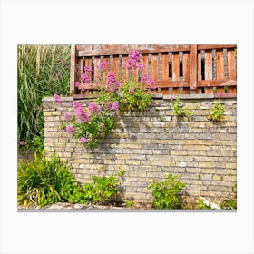 Flowers On A Brick Wall Canvas Print