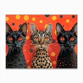 Funny Cats Canvas Print