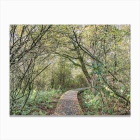 Autumn In A Park Canvas Print