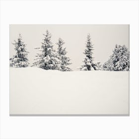 Winter Firs On Hill Canvas Print