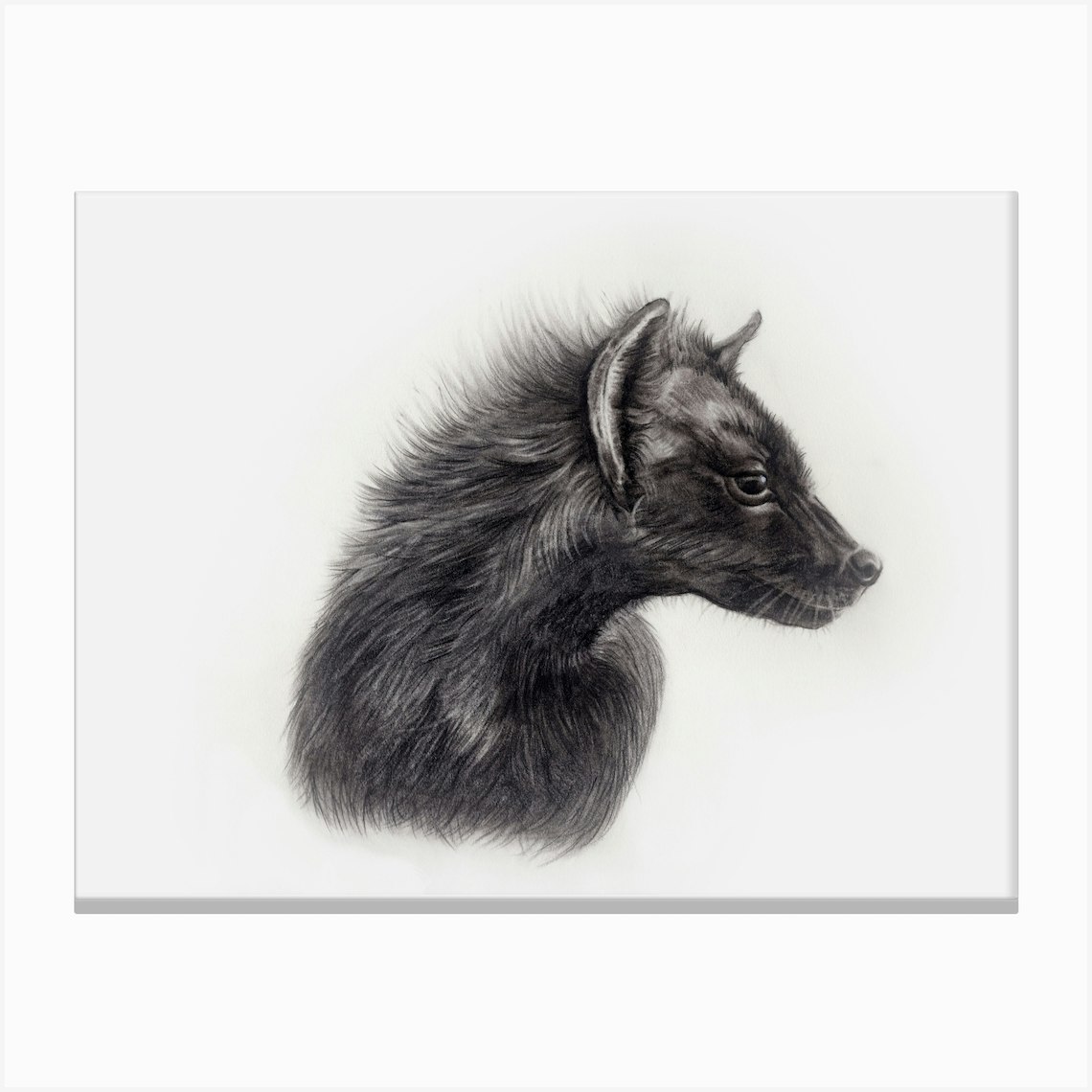 Neville600 Canvas Print by Ingrid Nolan