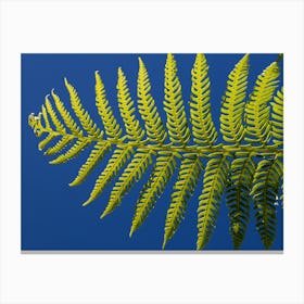 Fern Leaf 5 Canvas Print