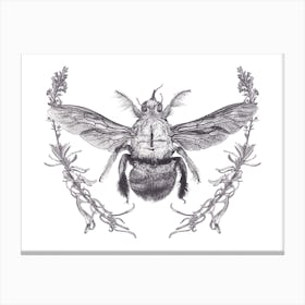 Carpenter Bee Canvas Print