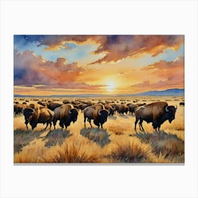 Bison Herd At Sunset The Chill of Nature's Beauty Canvas Print