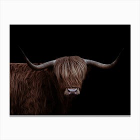 Highland Cow 1 Canvas Print