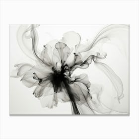 Ephemeral Beauty Abstract Black And White 3 Canvas Print