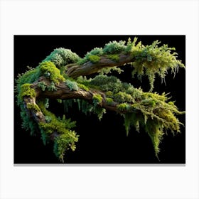 Large Twisted Tree Branch With Moss And Green Foliage 1 Canvas Print