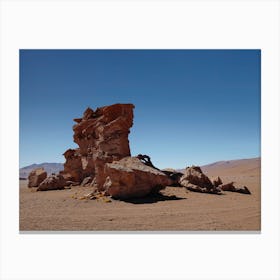 Rock Sculpture Atacama Canvas Print