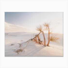 Sunny Sand Dunes Canvas Print