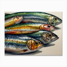 Sardines 5 Canvas Print