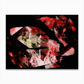 Red abstraction Canvas Print