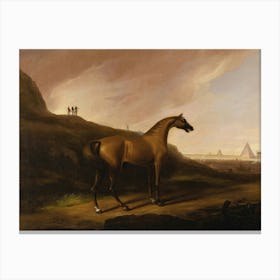 Vintage Painting Horse In The Desert Canvas Print