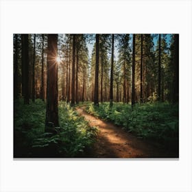 A Forest With Tall Trees And Dirt Path Through The Trees Canvas Print