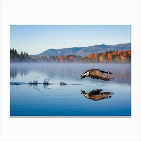 Canadian Geese 40 Canvas Print