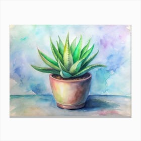 Aloe Vera Canvas Print