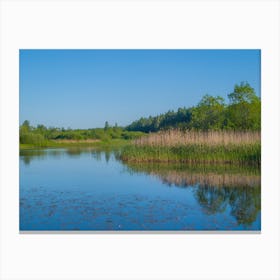 Reeds In A Lake Canvas Print