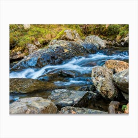 Stream In The Woods 20231225124435pub Canvas Print