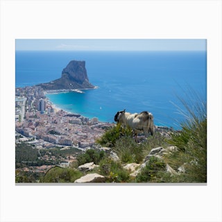 Billy goat, Calpe and the Mediterranean Sea Canvas Print