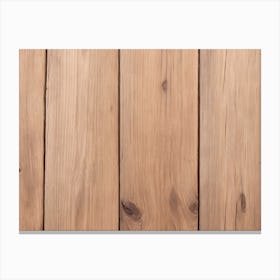 Wooden Planks 2 Canvas Print