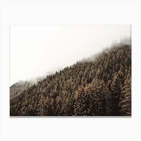 Dense Forest Scenery Canvas Print