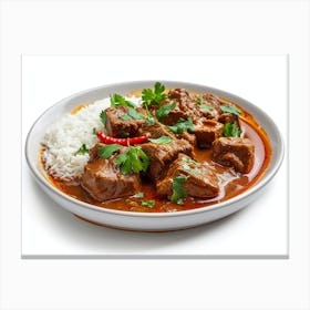 Indian Beef Curry Canvas Print