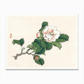 Camelia, Kōno Bairei Canvas Print