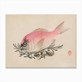 Chinese Fish Canvas Print