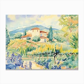 Watercolor Of A Vineyard Canvas Print