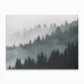 Foggy Pine Forest Canvas Print