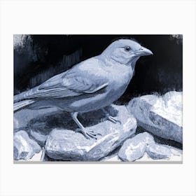 Bird On Rocks Canvas Print