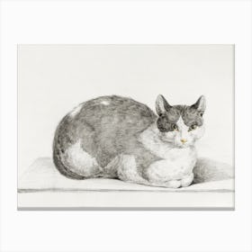 Sitting Cat (1798), Jean Bernard Canvas Print