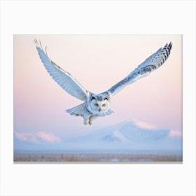 White Snow Owl Yellow Eyes In Flight Above Pristine Snow Early Morning Ambiance White Snow Cappe Canvas Print