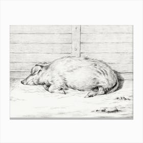 Lying Pig (1812), Jean Bernard Canvas Print