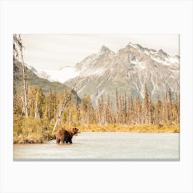 Grizzly Bear Fishing Canvas Print
