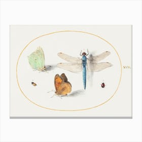 Brimstone And Meadow Brown Butterflies, A Dragonfly, And Two Small Insects (1575–1580), Joris Hoefnagel Canvas Print