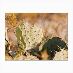 Cactus Heart Canvas Print