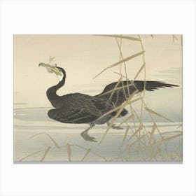 Japanese Ukiyo-E Cormorant In Flight Canvas Print